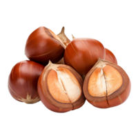 AI generated Tongan chestnut fruit png isolated on transparent background