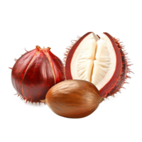 AI generated Tongan chestnut fruit png isolated on transparent background