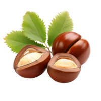 AI generated Tongan chestnut fruit png isolated on transparent background