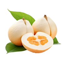 AI generated Santol fruit and santol meliaceae png isolated on transparent background