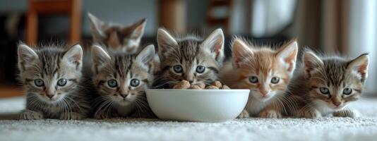 AI generated a group of kittens gathered around a white bowl of food photo