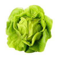 AI generated Head of butterhead lettuce png isolated on transparent background