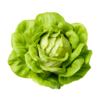 AI generated Head of butterhead lettuce png isolated on transparent background