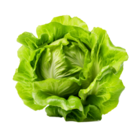 AI generated Head of butterhead lettuce png isolated on transparent background