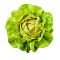 AI generated Head of butterhead lettuce png isolated on transparent background