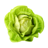 AI generated Head of butterhead lettuce png isolated on transparent background