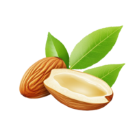 AI generated Almond realistic png isolated on transparent background