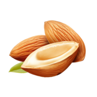 AI generated Almond realistic png isolated on transparent background