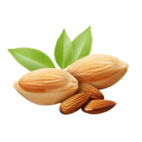 AI generated Almond realistic png isolated on transparent background