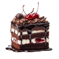 AI generated Black forest gateau png isolated on transparent background