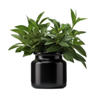 AI generated Balsam in black container png isolated on transparent background