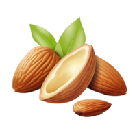 AI generated Almond realistic png isolated on transparent background