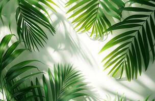 AI generated in palm tree leaves and with shadow on white background photo