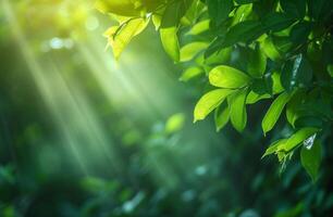 AI generated green leaves and sun rays on a green background photo