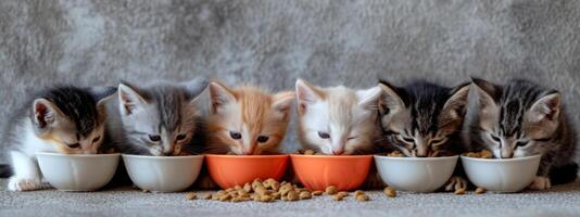 ai generado seis pequeño gatitos comer comida fuera de un cuenco foto