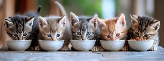 ai generado seis pequeño gatitos comer comida fuera de un cuenco foto