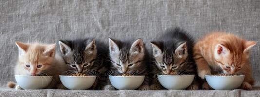 AI generated six small kittens eat food out of a bowl photo