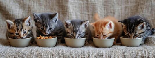 ai generado seis pequeño gatitos comer comida fuera de un cuenco foto