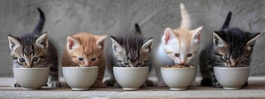 AI generated six small kittens eat food out of a bowl photo