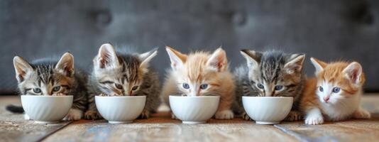 ai generado seis pequeño gatitos comer comida fuera de un cuenco foto