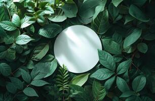 AI generated white circle on green leaves photo