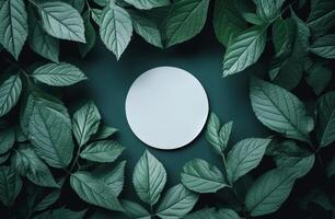 AI generated white circle on green leaves photo