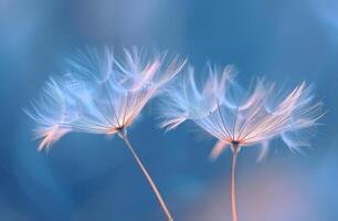 AI generated two dandelion seeds are blowing above a blue background photo