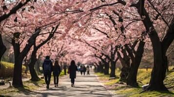 AI generated Cherry Blossom Stroll photo