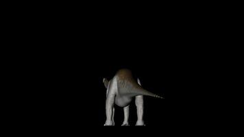 Apatosaurus Dinosaur Gyrating on Black Background video