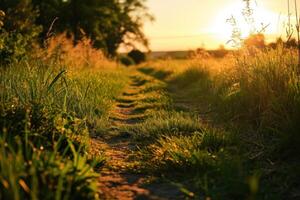 AI generated path leading to green fields sunset photo