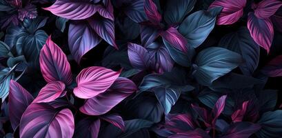 AI generated purple and pink leaves on a black background photo