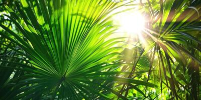 AI generated shiny sunlight in an idyllic green palm garden, tropical vegetation background banner with copy space for travel, holidays and vacation photo