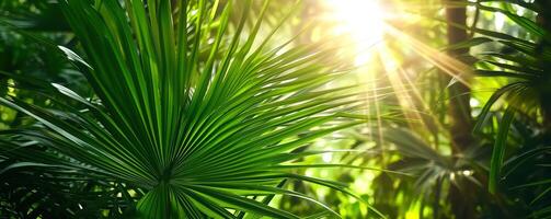 AI generated shiny sunlight in an idyllic green palm garden, tropical vegetation background banner with copy space for travel, holidays and vacation photo