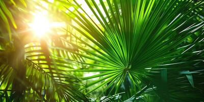 AI generated shiny sunlight in an idyllic green palm garden, tropical vegetation background banner with copy space for travel, holidays and vacation photo