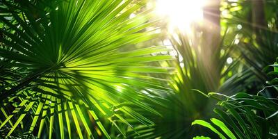 ai generado brillante luz de sol en un idílico verde palma jardín, tropical vegetación antecedentes bandera con Copiar espacio para viajar, Días festivos y vacaciones foto