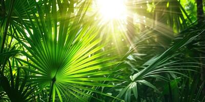 AI generated shiny sunlight in an idyllic green palm garden, tropical vegetation background banner with copy space for travel, holidays and vacation photo