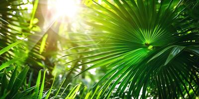 AI generated shiny sunlight in an idyllic green palm garden, tropical vegetation background banner with copy space for travel, holidays and vacation photo