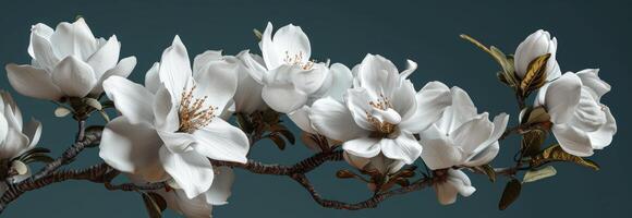 AI generated white flowers arranged on a branch photo