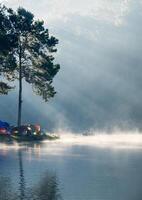 Viewpoint sunlight shine pine forest on foggy reservoir in morning at pang oung photo