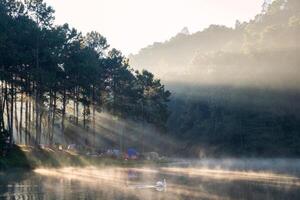 Scenic pine forest sunlight shine with swan on fog reservoir in morning at pang oung photo