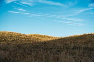 Golden meadow hill with blue sky in countryside photo