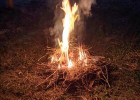 fuego en suelo con seco Paja como combustible foto