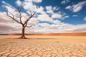 ai generado seco árbol entre Desierto tostado suelo debajo nublado cielo seco árbol entre Desierto tostado suelo debajo nublado cielo foto