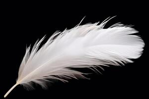 AI generated Fluffy white feather on black background photo