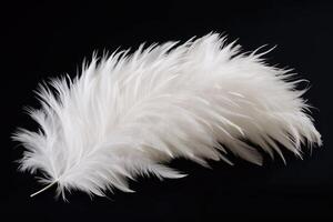 AI generated Fluffy white feather on black background photo