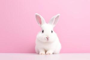 AI generated Cute white rabbit on pink background with copy space for text photo