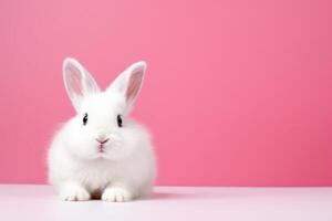 ai generado linda blanco Conejo en rosado antecedentes con Copiar espacio para texto foto