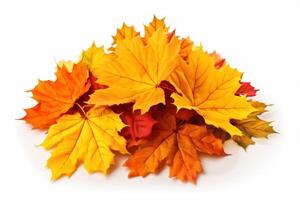 AI generated Autumn season, Pile of maple leaves isolated on white photo