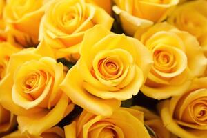 AI generated Beautiful roses with yellow petals as background, macro view photo