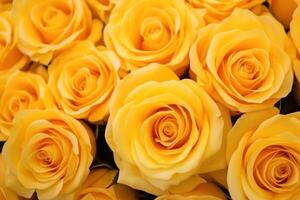 AI generated Beautiful roses with yellow petals as background, macro view photo